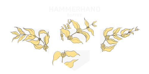 Hammerhand Coffee